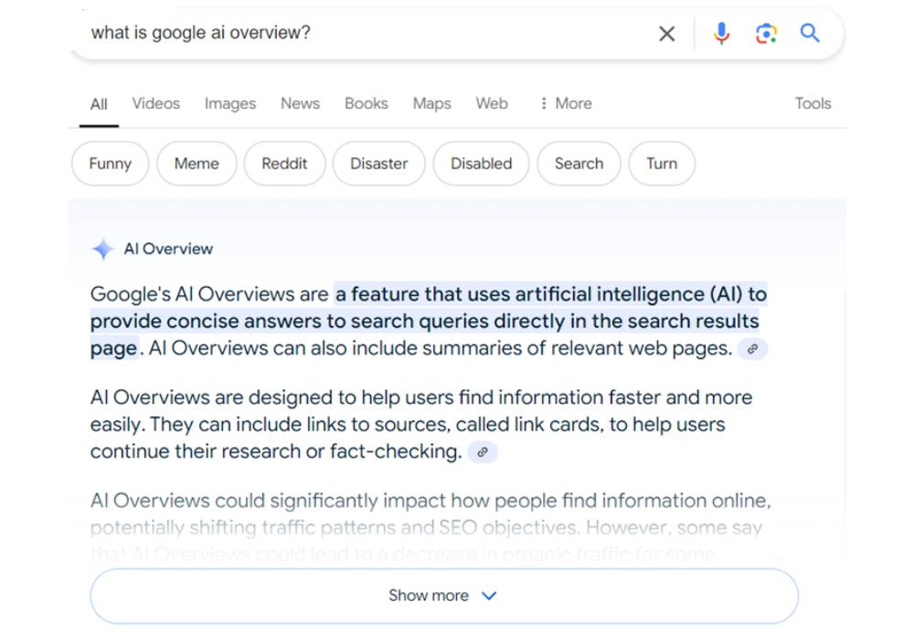 Google AI Overviews example